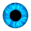 CamDiscover APK
