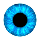 CamDiscover APK