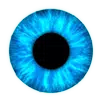 CamDiscover APK