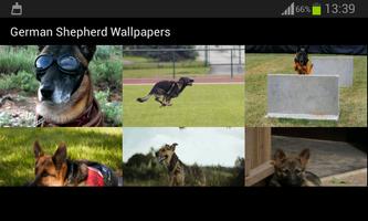 Deutsch Shepherd Wallpapers Screenshot 3