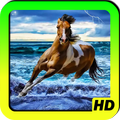 Horses Wallpapers
