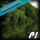 Forest Rain Animated Wallpaper icon