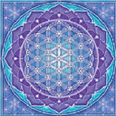 LiveMeditation APK