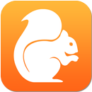 UC Mini Fast Download APK