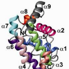 Cancer Proteins icône