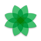 REPlant icon