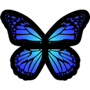 APK Scentopia Wonderland Viewer