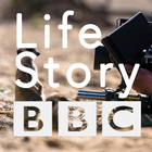 BBC Life story أيقونة