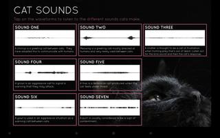 BBC Guide to Your Cat capture d'écran 1