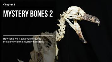 BBC Secrets of Bones Plakat