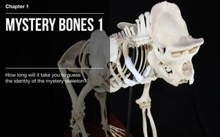 BBC Secrets of Bones Screenshot 1
