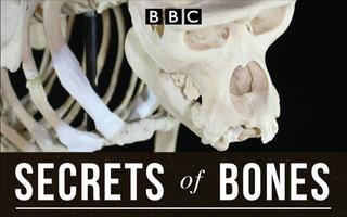 BBC Secrets of Bones Screenshot 2