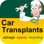 Car Transplants icône
