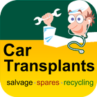 Car Transplants icon