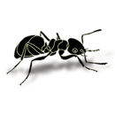 APK RoboAnt