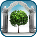 Past Life Regression Meditatio APK