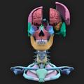 The Brain App