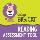 Big Cat Reading Assessment icône