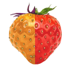 Control Your System *root* APK