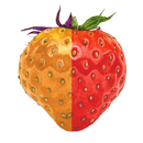 Control Your System *root* APK