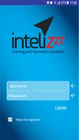 Poster Intelizzz
