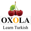 Essential Turkish APK