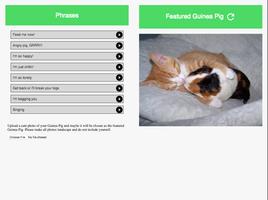 Guinea Pig Communicator captura de pantalla 2