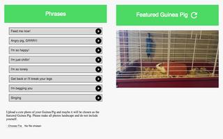 Guinea Pig Communicator imagem de tela 3