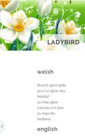 Learn Welsh screenshot 2