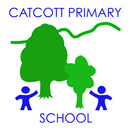 Catcott Primary School APK