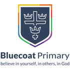 Bluecoat Primary ícone