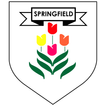 ”Springfield School Jersey