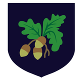 Stoke Primary Payments icon