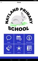 Nayland Primary School Affiche