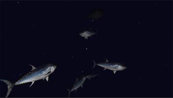 Virtual Oceans screenshot 3