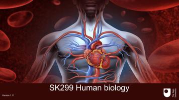 SK299 - Human Biology Affiche