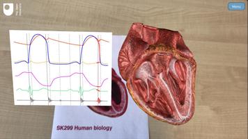 SK299 - Human Biology capture d'écran 1