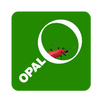 Bugs Count APK