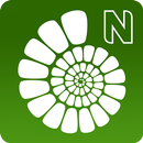 APK Fossil Explorer