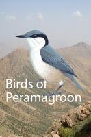 Birds of Peramagroon plakat