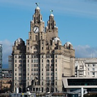 Liverpool Tour Guide-icoon