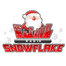 Radio Snowflake APK