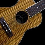 Ukulele Tuner N Ukulele Chords