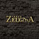 Radyo Zeugma APK