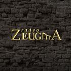 Radyo Zeugma icono