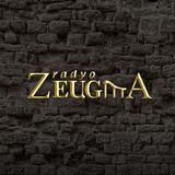 Radyo Zeugma icône