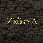 Radyo Zeugma-icoon