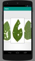 BioLeaf ภาพหน้าจอ 1