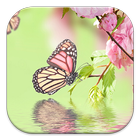 Butterfly Live Wallpapers biểu tượng