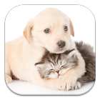 Cat and Dog Live Wallpapers आइकन